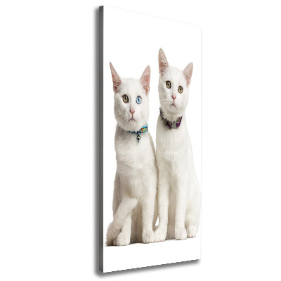 Quadro su tela canvas verticale Due gatti bianchi