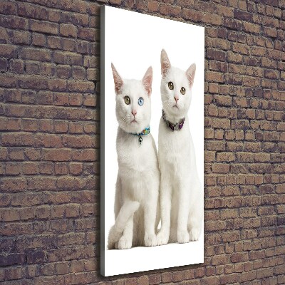 Quadro su tela canvas verticale Due gatti bianchi