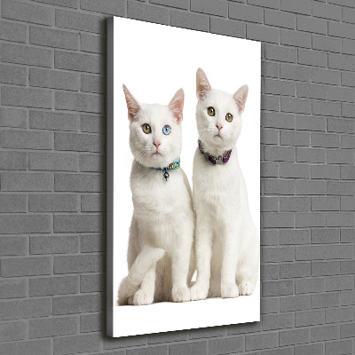 Quadro su tela canvas verticale Due gatti bianchi