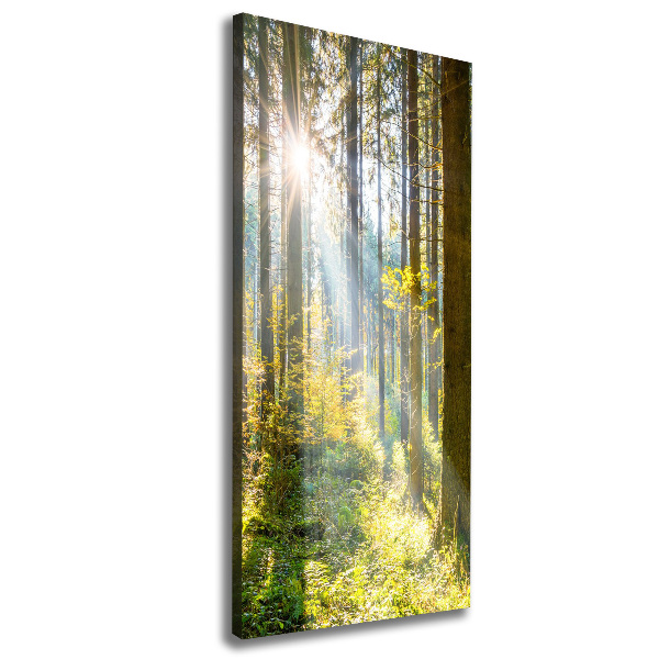 Quadro foto su tela verticale Il sole nella foresta