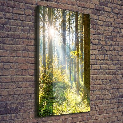 Quadro foto su tela verticale Il sole nella foresta