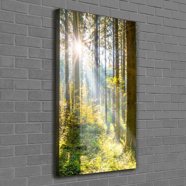 Quadro foto su tela verticale Il sole nella foresta