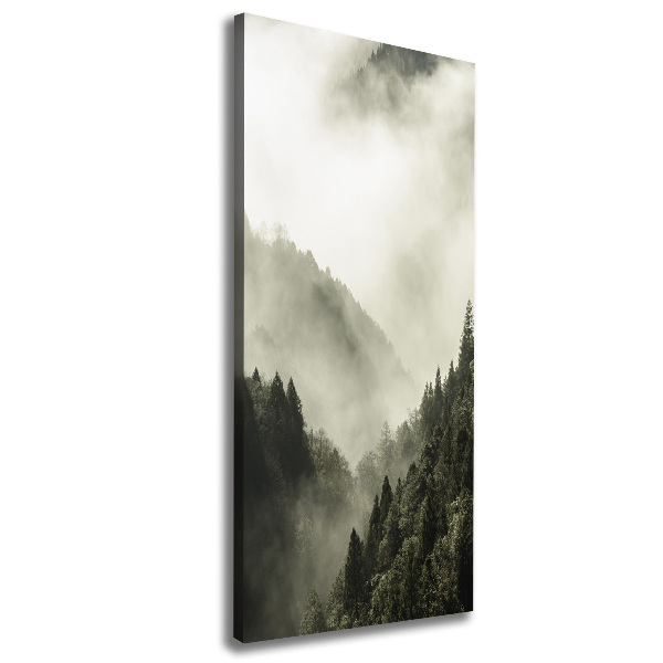 Quadro su tela canvas verticale Nebbia sulla foresta