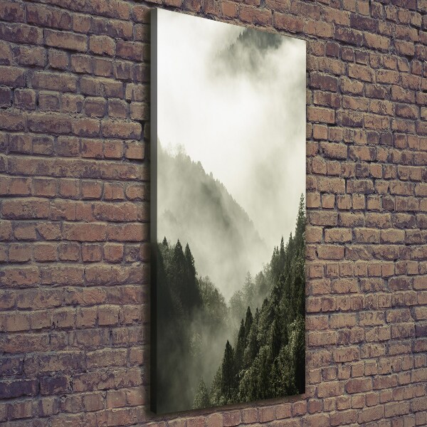 Quadro su tela canvas verticale Nebbia sulla foresta