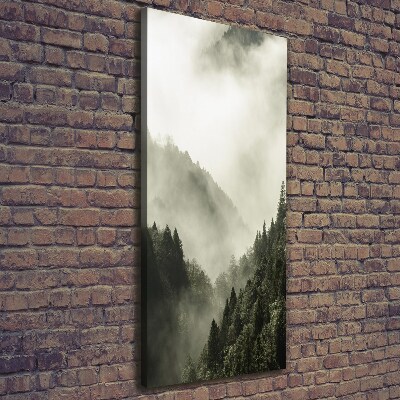 Quadro su tela canvas verticale Nebbia sulla foresta