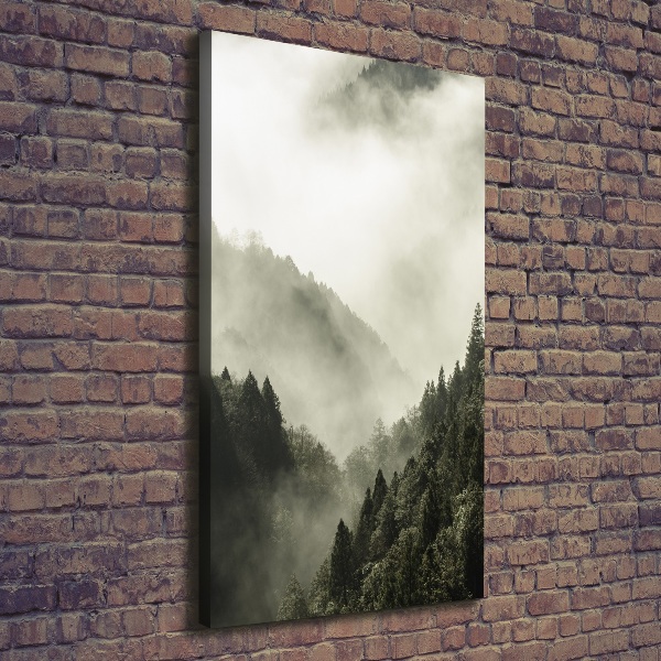 Quadro su tela canvas verticale Nebbia sulla foresta