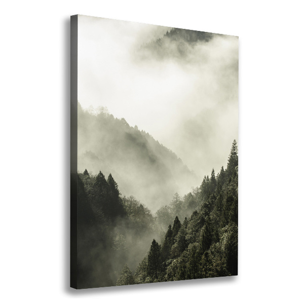 Quadro su tela canvas verticale Nebbia sulla foresta
