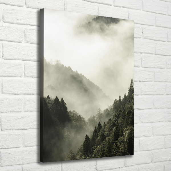 Quadro su tela canvas verticale Nebbia sulla foresta