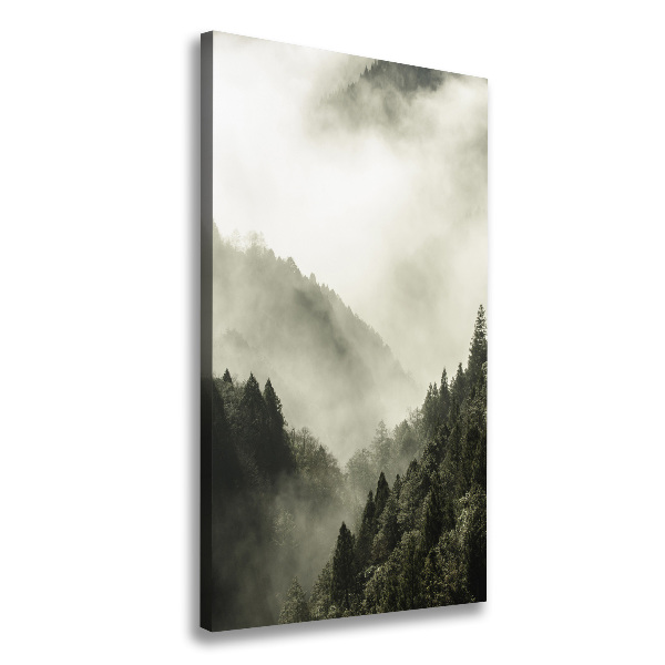 Quadro su tela canvas verticale Nebbia sulla foresta