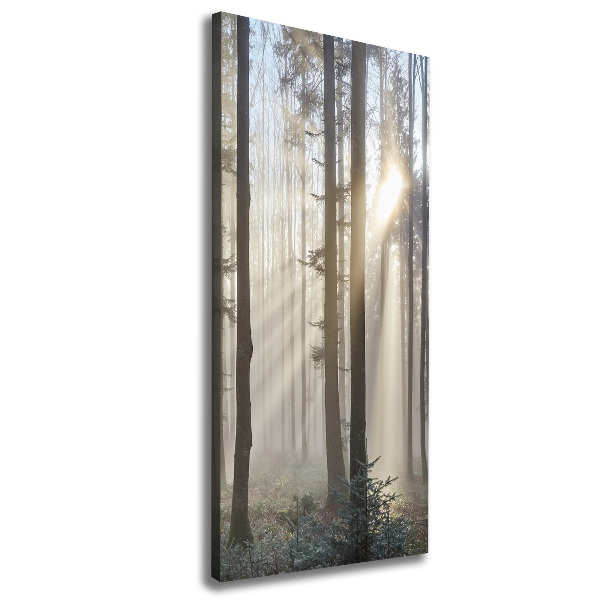 Quadro su tela canvas verticale Nebbia nella foresta