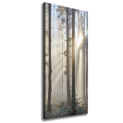 Quadro su tela canvas verticale Nebbia nella foresta