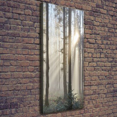Quadro su tela canvas verticale Nebbia nella foresta