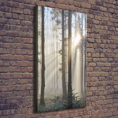 Quadro su tela canvas verticale Nebbia nella foresta