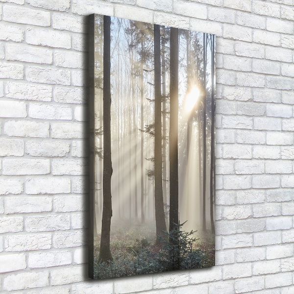 Quadro su tela canvas verticale Nebbia nella foresta