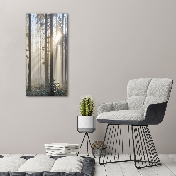 Quadro su tela canvas verticale Nebbia nella foresta