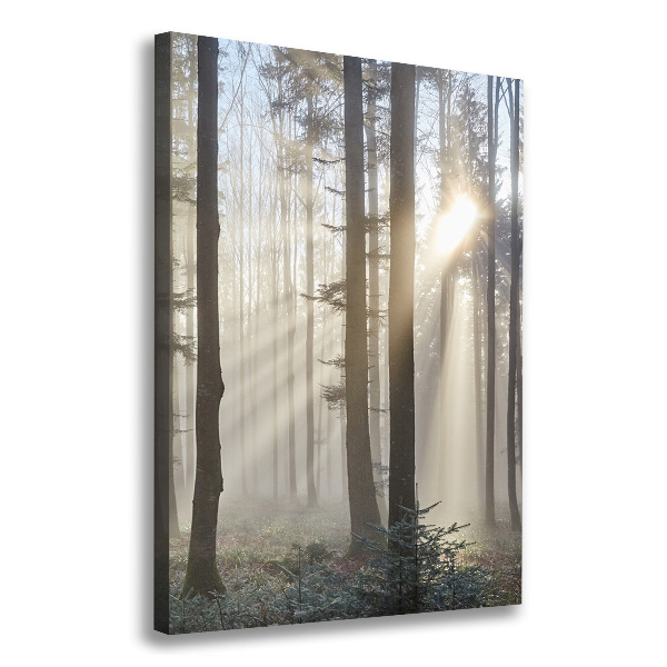 Quadro su tela canvas verticale Nebbia nella foresta