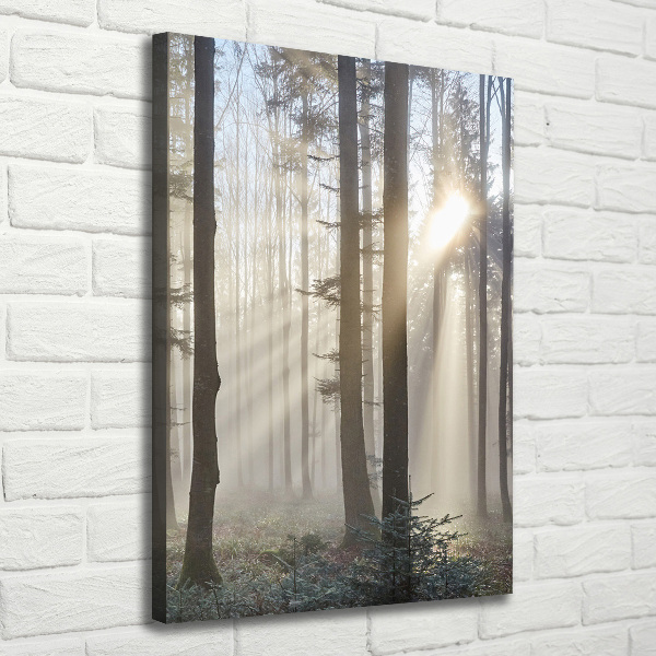 Quadro su tela canvas verticale Nebbia nella foresta
