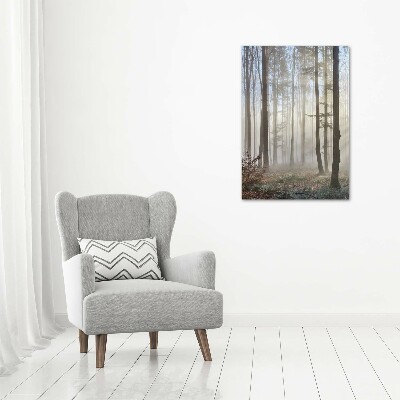 Quadro su tela canvas verticale Nebbia nella foresta