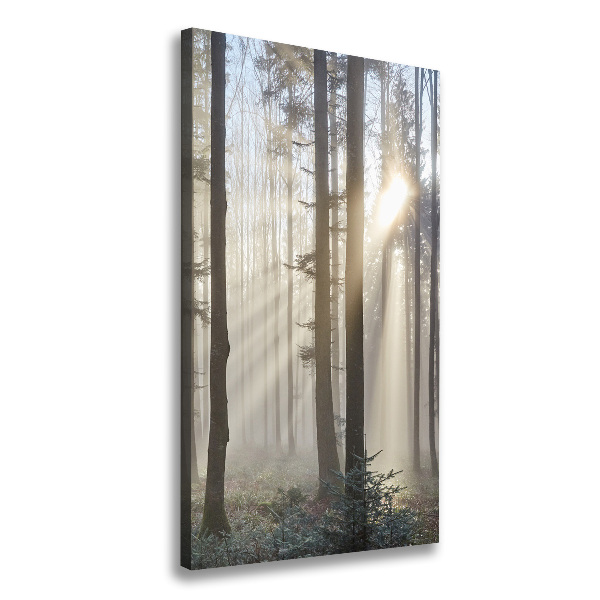 Quadro su tela canvas verticale Nebbia nella foresta