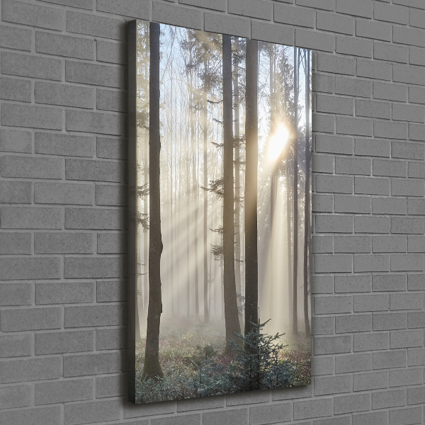 Quadro su tela canvas verticale Nebbia nella foresta