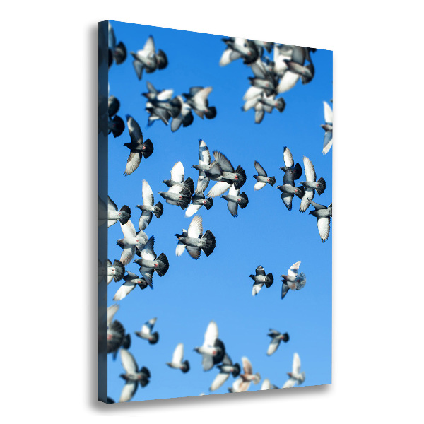 Quadro foto su tela verticale Piccioni nel cielo