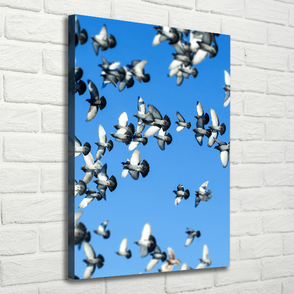 Quadro foto su tela verticale Piccioni nel cielo