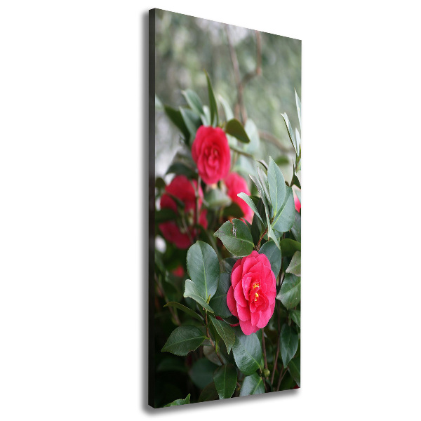 Quadro su tela canvas verticale Camelia