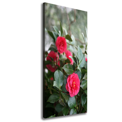 Quadro su tela canvas verticale Camelia