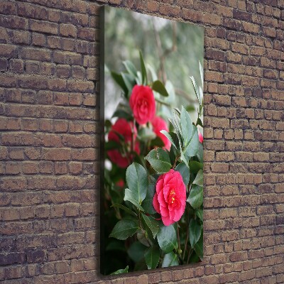 Quadro su tela canvas verticale Camelia