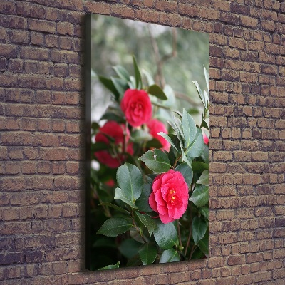 Quadro su tela canvas verticale Camelia
