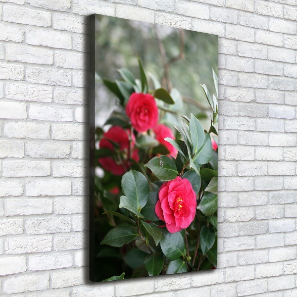 Quadro su tela canvas verticale Camelia