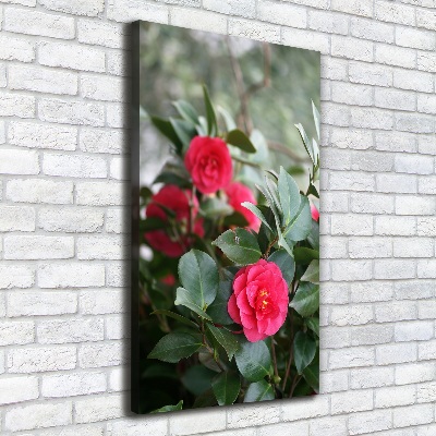 Quadro su tela canvas verticale Camelia