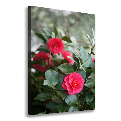 Quadro su tela canvas verticale Camelia