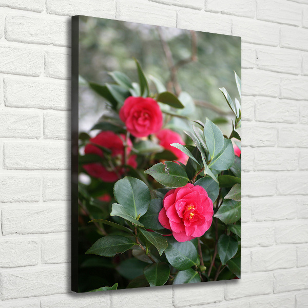 Quadro su tela canvas verticale Camelia