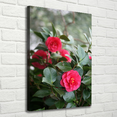 Quadro su tela canvas verticale Camelia