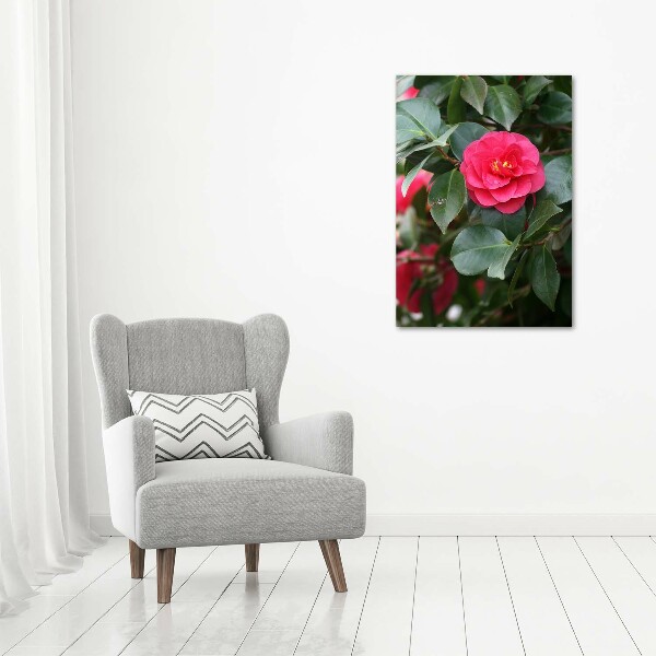 Quadro su tela canvas verticale Camelia