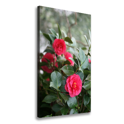 Quadro su tela canvas verticale Camelia
