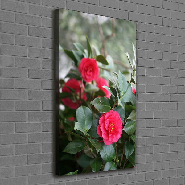 Quadro su tela canvas verticale Camelia