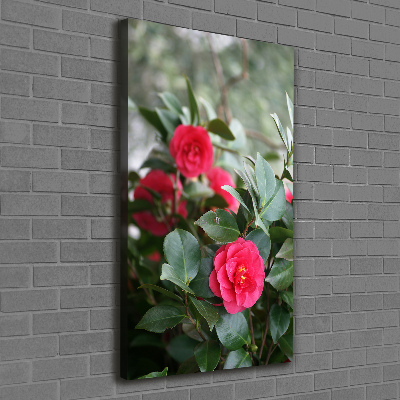 Quadro su tela canvas verticale Camelia
