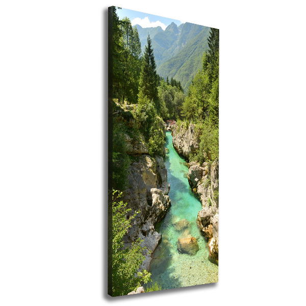 Quadro foto su tela verticale Torrente di montagna