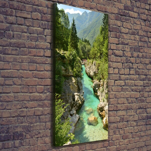 Quadro foto su tela verticale Torrente di montagna