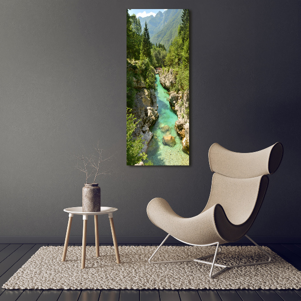 Quadro foto su tela verticale Torrente di montagna