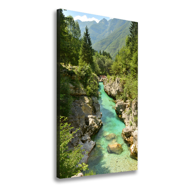 Quadro foto su tela verticale Torrente di montagna