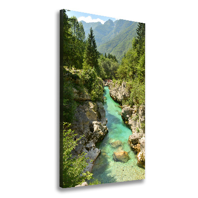 Quadro foto su tela verticale Torrente di montagna