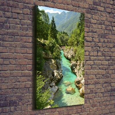 Quadro foto su tela verticale Torrente di montagna