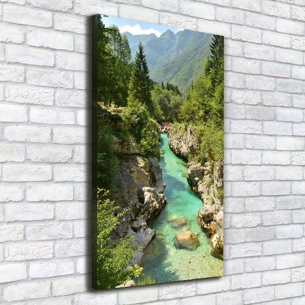 Quadro foto su tela verticale Torrente di montagna