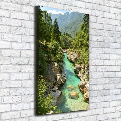 Quadro foto su tela verticale Torrente di montagna