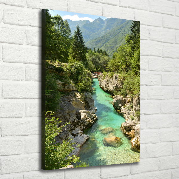 Quadro foto su tela verticale Torrente di montagna