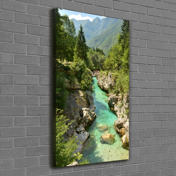 Quadro foto su tela verticale Torrente di montagna