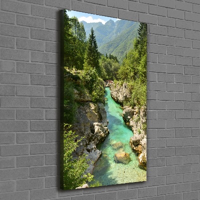 Quadro foto su tela verticale Torrente di montagna